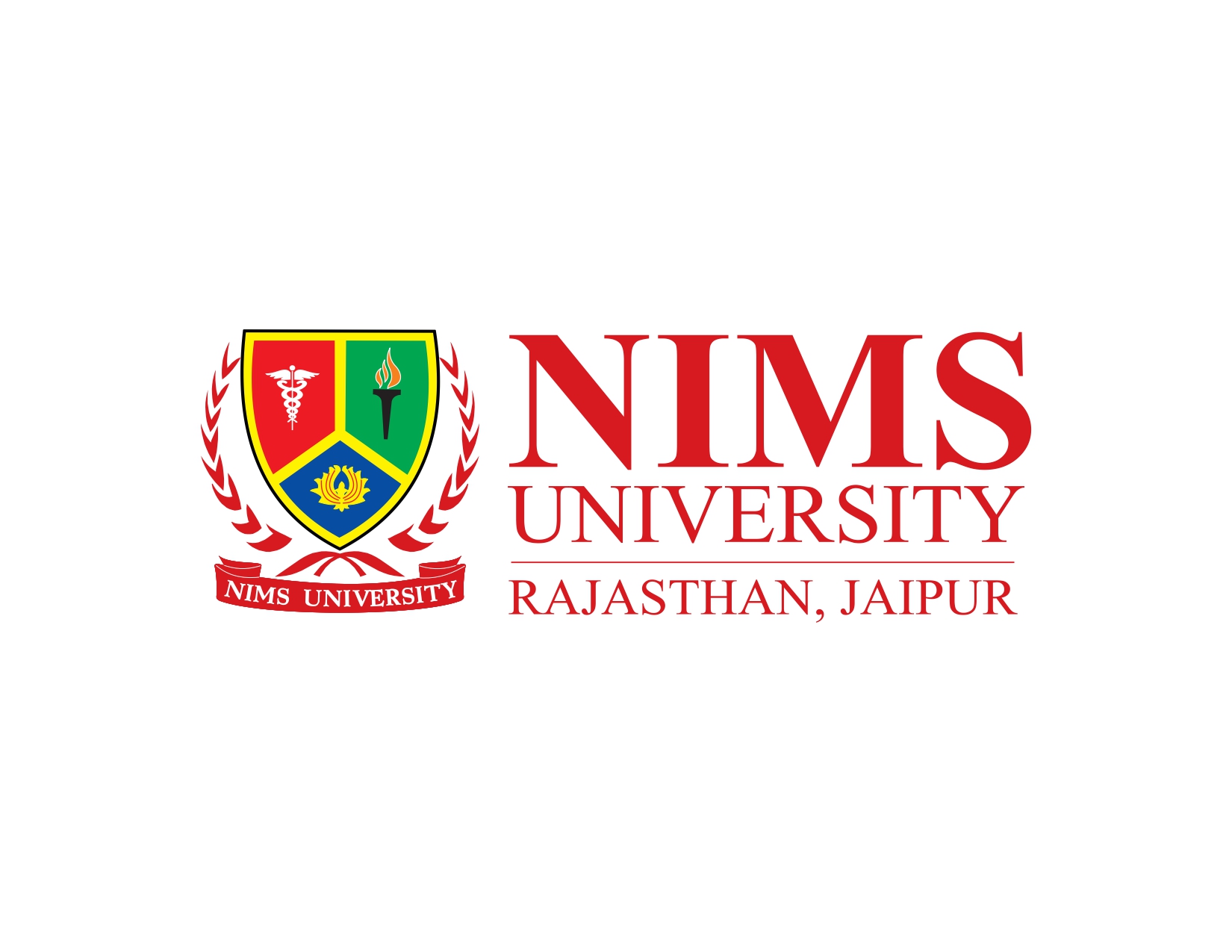 NIMS University